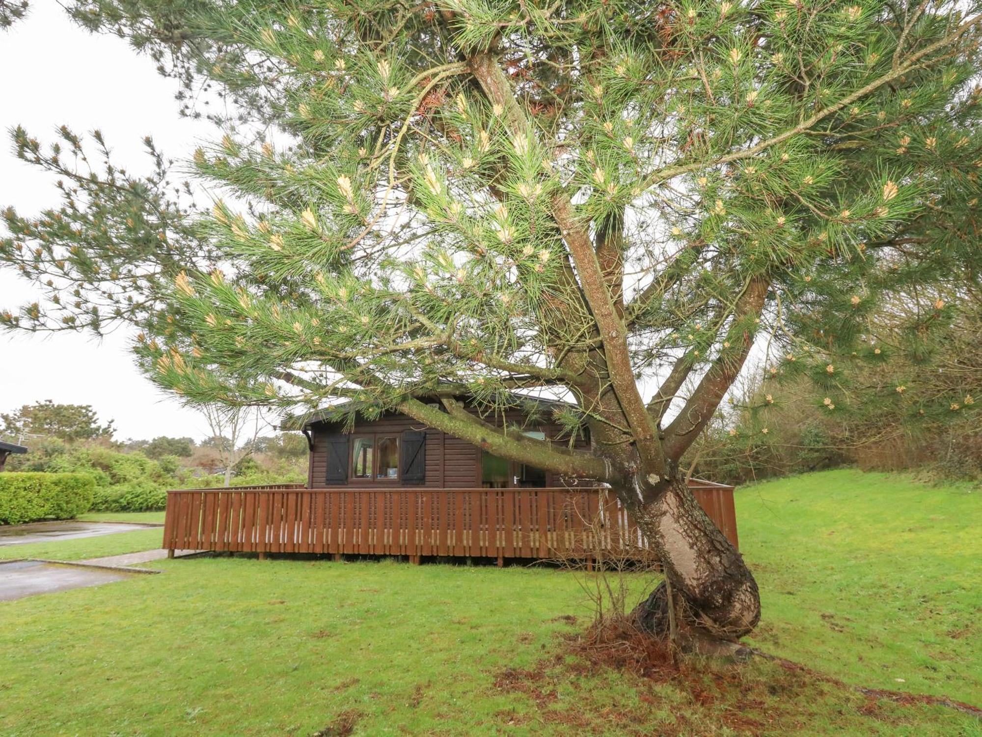 16 Amber Wood Lodge Lymington Exteriör bild