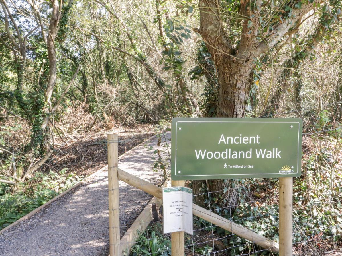 16 Amber Wood Lodge Lymington Exteriör bild